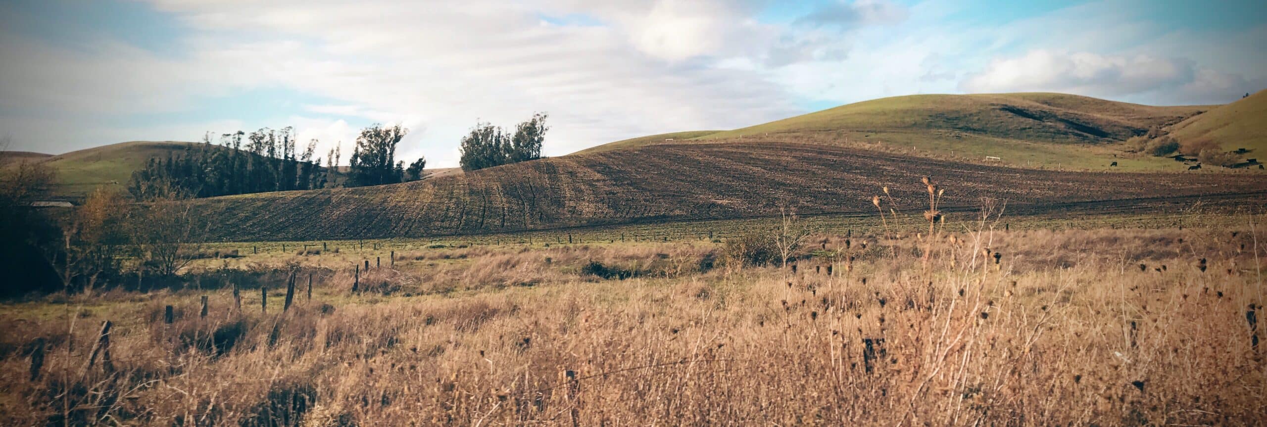 Diesel tractor background